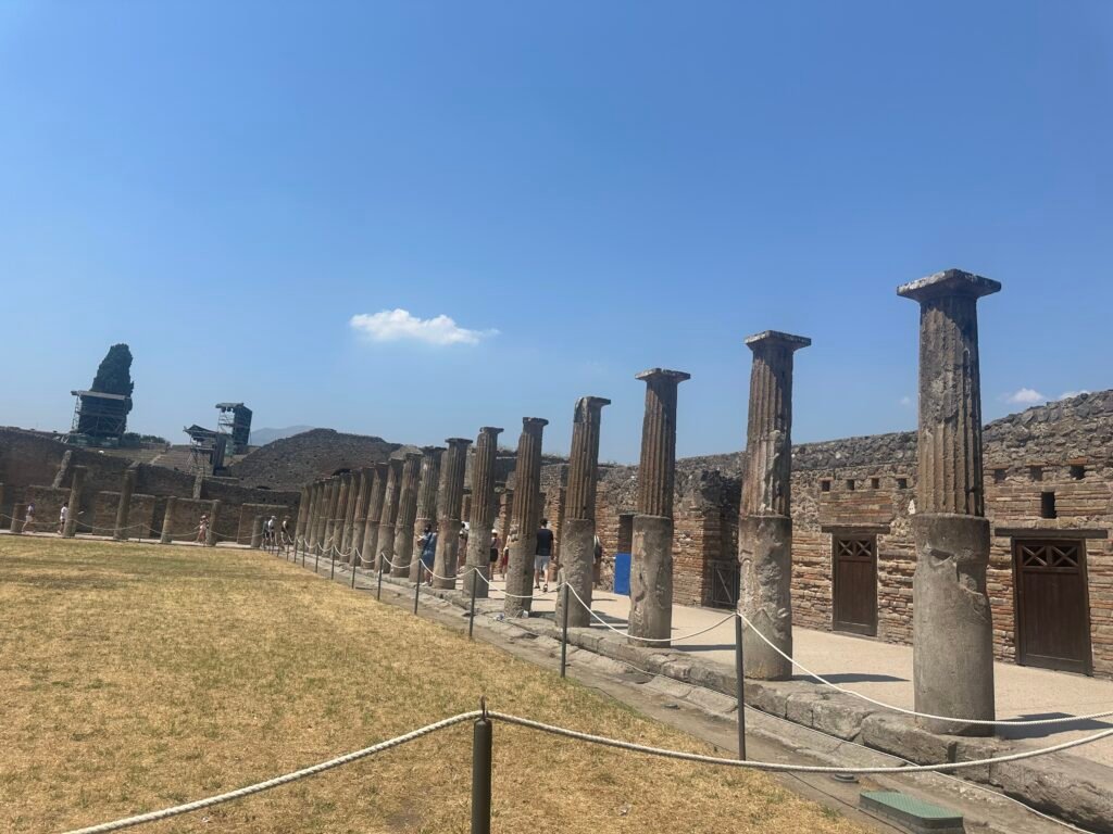 146AF660-FAE0-497B-88AD-DE60796C497B