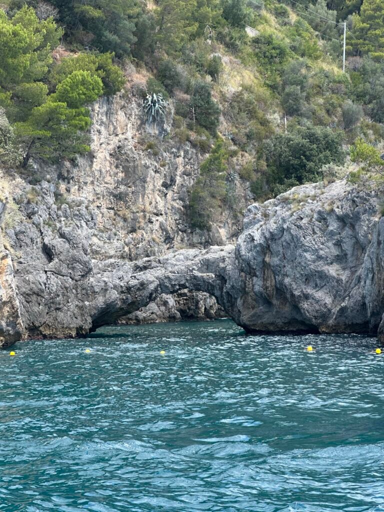 2C98901F-F5E4-4FBC-8039-110B8D122FCF